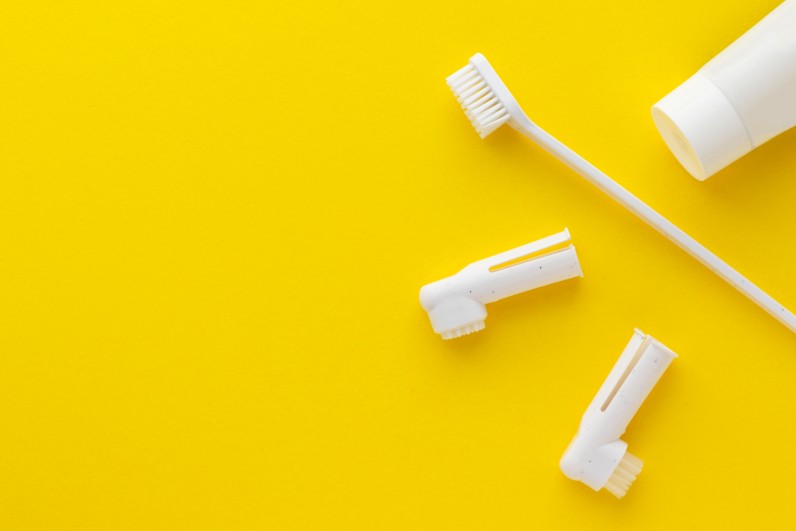 Як чистити зуби улюбленцям - Фото 1